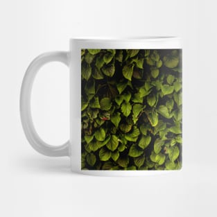 Hydrangea Mug